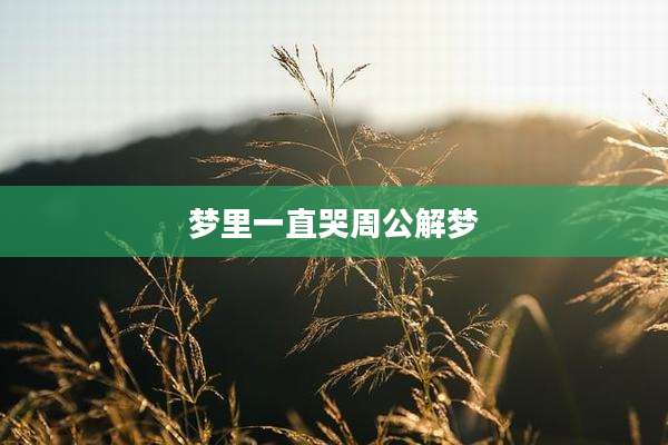 梦里一直哭周公解梦