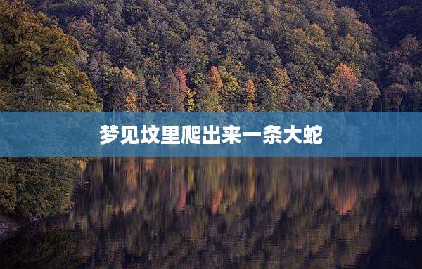 梦见坟里爬出来一条大蛇