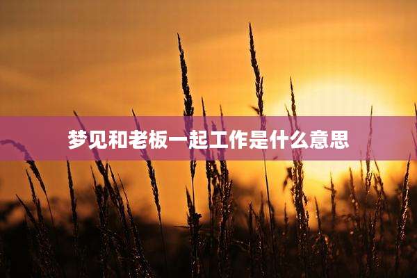 梦见和老板一起工作是什么意思