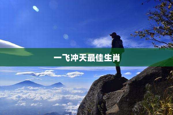 一飞冲天最佳生肖