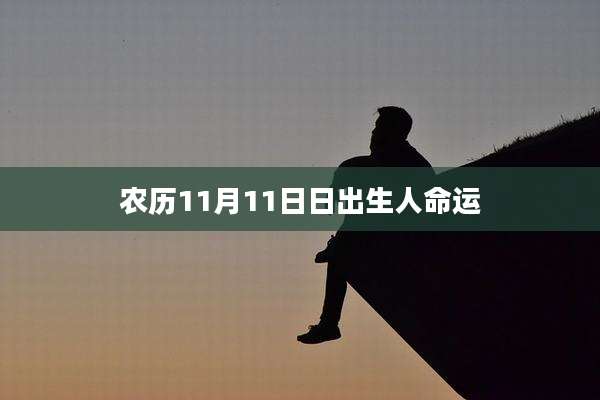 农历11月11日日出生人命运