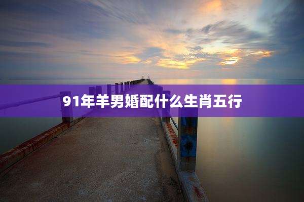 91年羊男婚配什么生肖五行