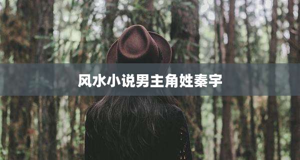 风水小说男主角姓秦宇