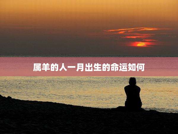 属羊的人一月出生的命运如何