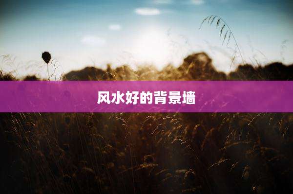 风水好的背景墙
