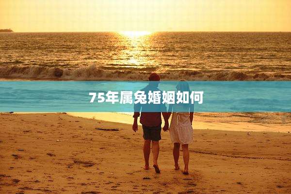 75年属兔婚姻如何