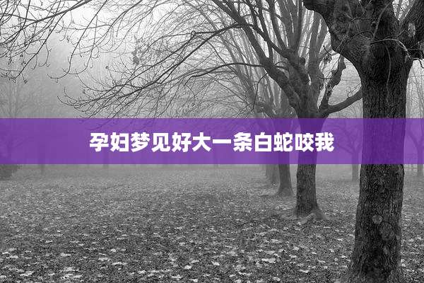 孕妇梦见好大一条白蛇咬我
