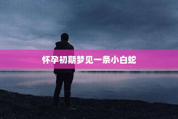 怀孕初期梦见一条小白蛇