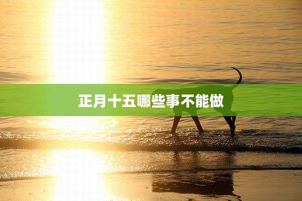 正月十五哪些事不能做