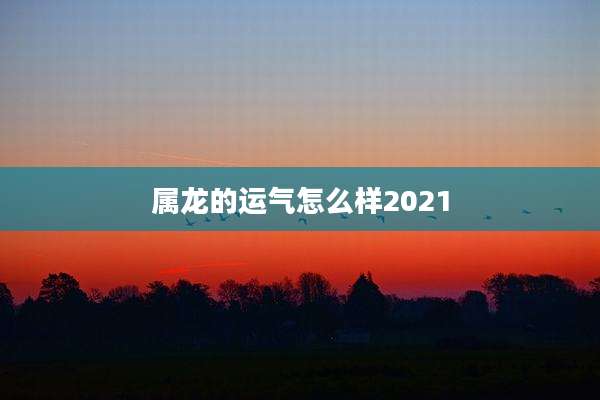属龙的运气怎么样2021