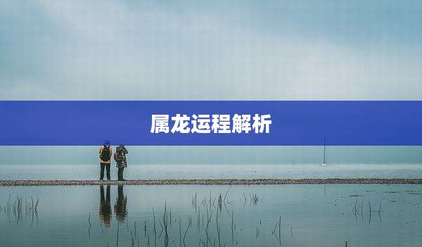 属龙运程解析