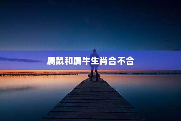 属鼠和属牛生肖合不合