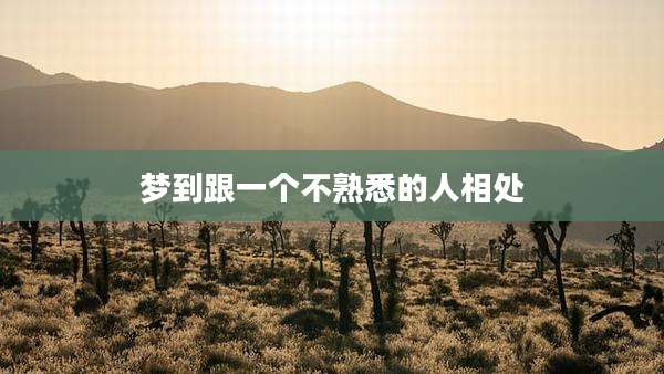 梦到跟一个不熟悉的人相处