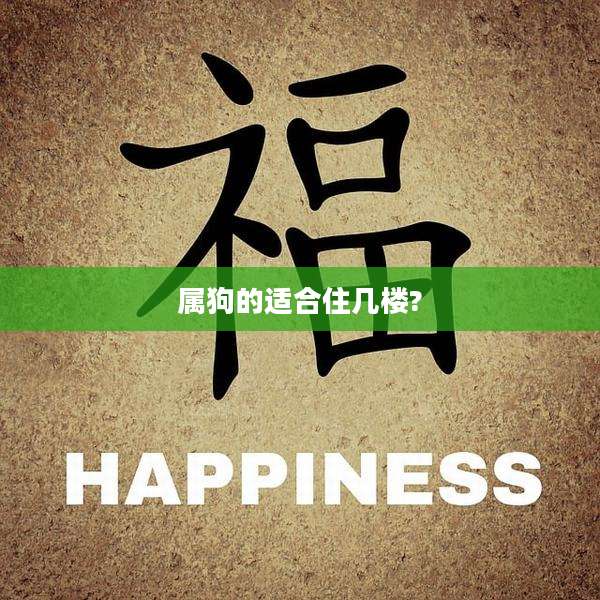 属狗的适合住几楼?