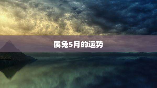 属兔5月的运势