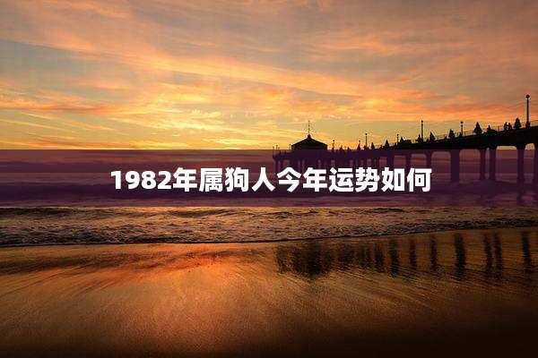 1982年属狗人今年运势如何