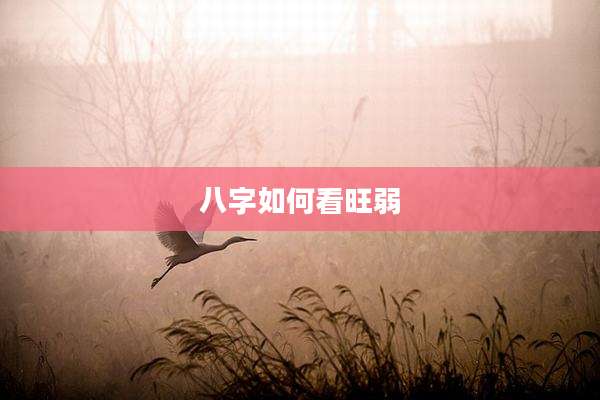 八字如何看旺弱