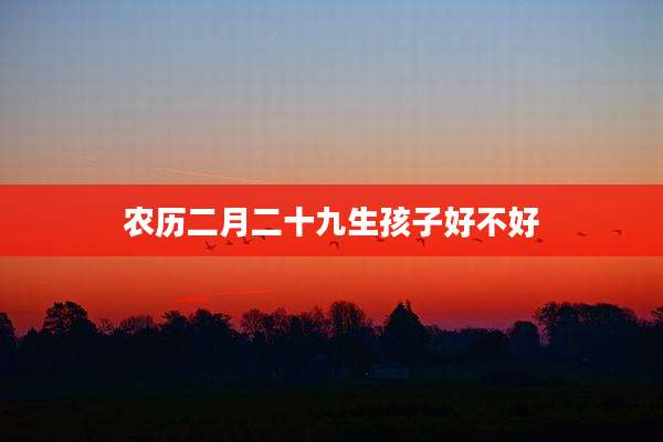 农历二月二十九生孩子好不好