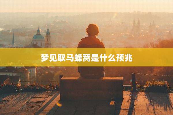 梦见取马蜂窝是什么预兆