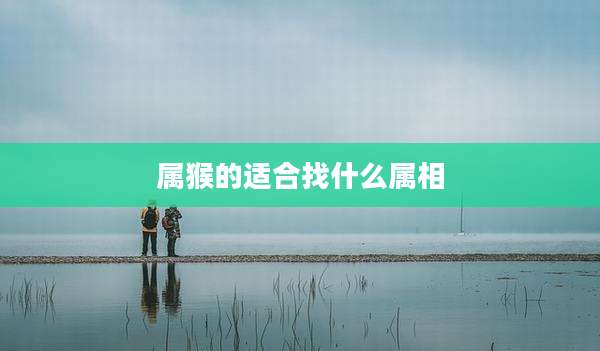 属猴的适合找什么属相