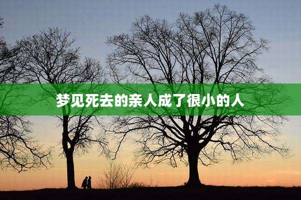 梦见死去的亲人成了很小的人