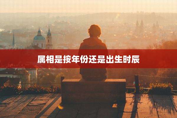 属相是按年份还是出生时辰