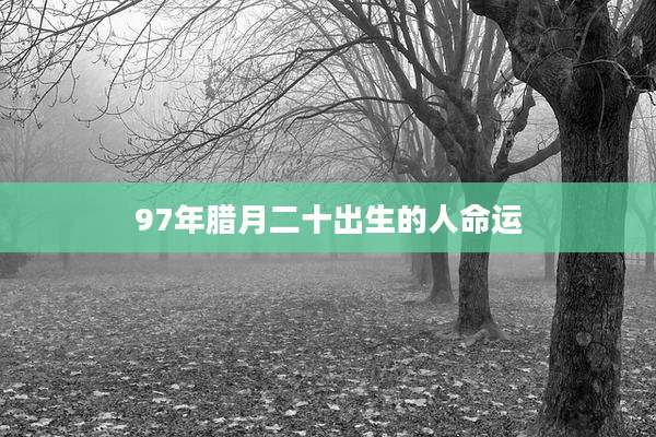 97年腊月二十出生的人命运