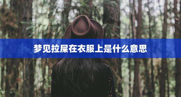 梦见拉屎在衣服上是什么意思