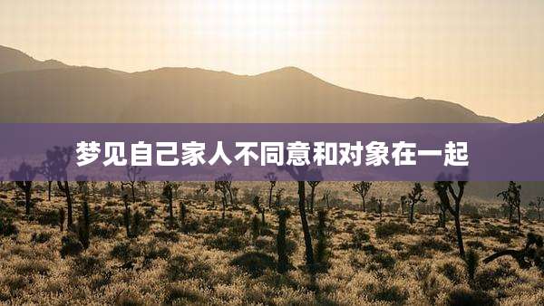 梦见自己家人不同意和对象在一起