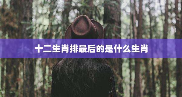 十二生肖排最后的是什么生肖