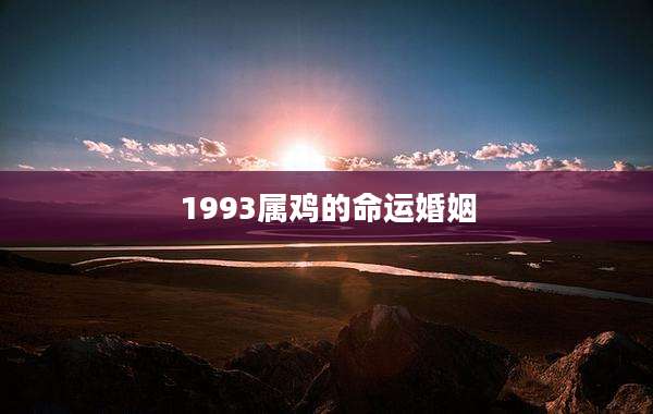 1993属鸡的命运婚姻