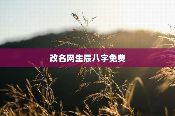 改名网生辰八字免费