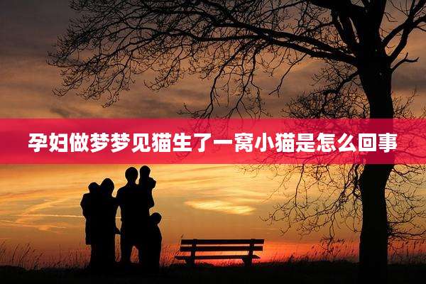 孕妇做梦梦见猫生了一窝小猫是怎么回事