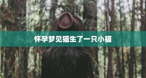 怀孕梦见猫生了一只小猫