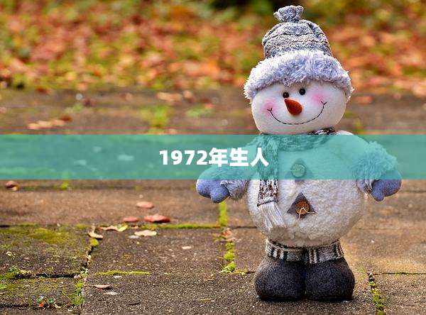 1972年生人