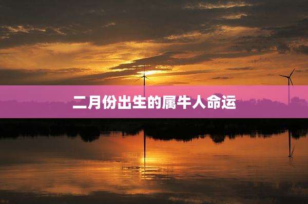 二月份出生的属牛人命运