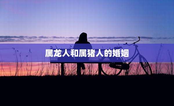 属龙人和属猪人的婚姻