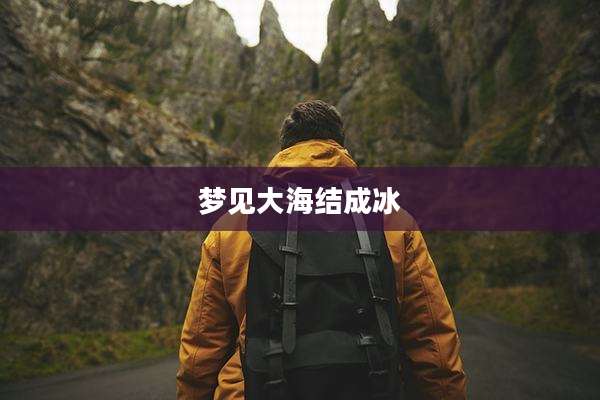 梦见大海结成冰