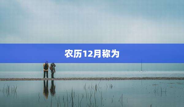 农历12月称为
