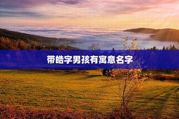 带皓字男孩有寓意名字
