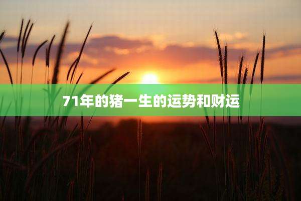 71年的猪一生的运势和财运
