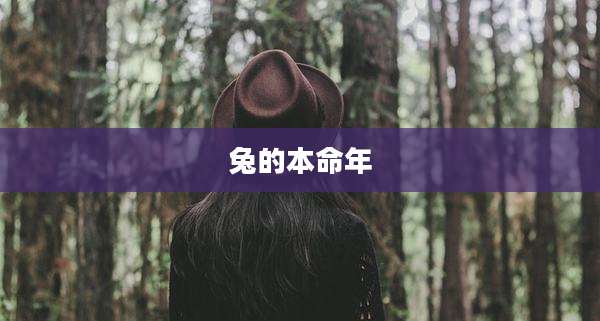 兔的本命年