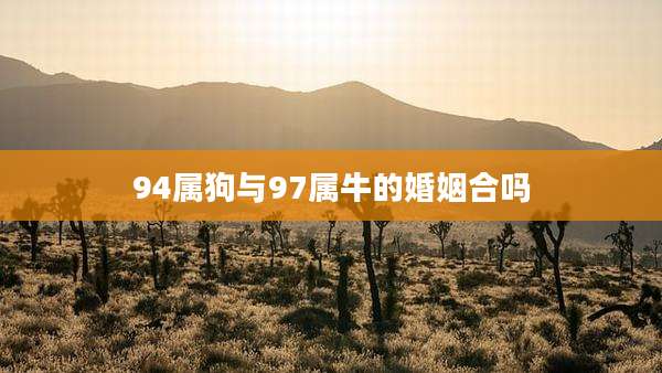 94属狗与97属牛的婚姻合吗