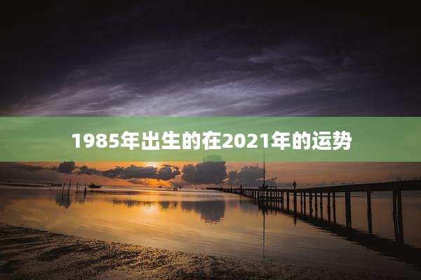 1985年出生的在2021年的运势