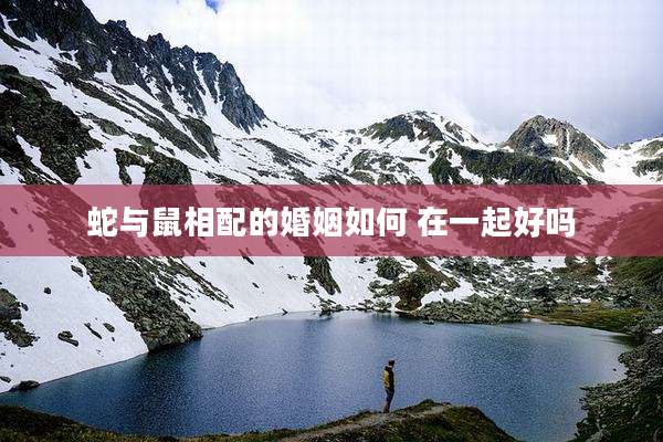 蛇与鼠相配的婚姻如何 在一起好吗