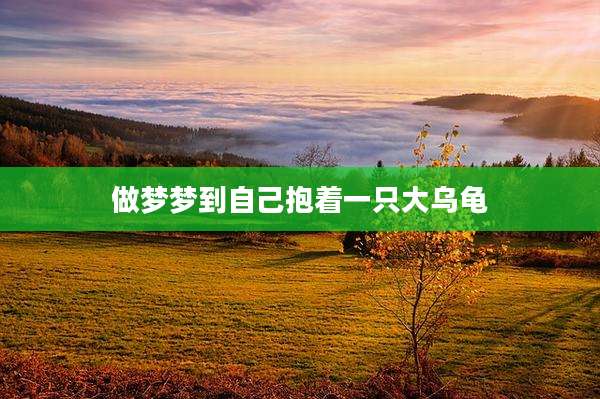 做梦梦到自己抱着一只大乌龟