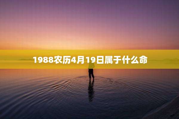 1988农历4月19日属于什么命