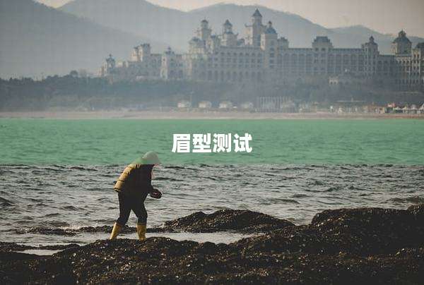 眉型测试