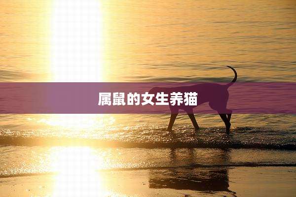 属鼠的女生养猫