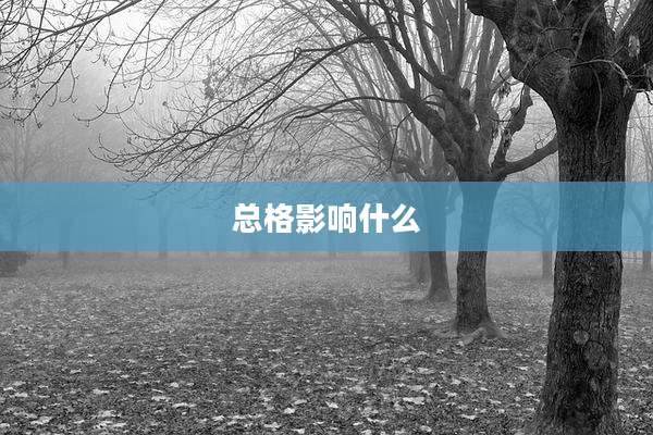 总格影响什么